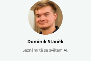Lektor DS